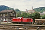 Henschel 31584 - DB Cargo "294 315-7"
16.07.2001 - Horb
Stefan Motz